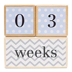 Blue Wooden Milestone Age Blocks - Baby, Pregnancy, Birthday Photos